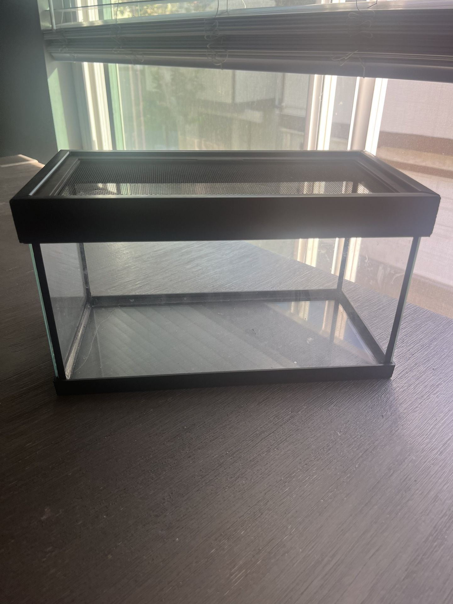 Small Reptile Tank