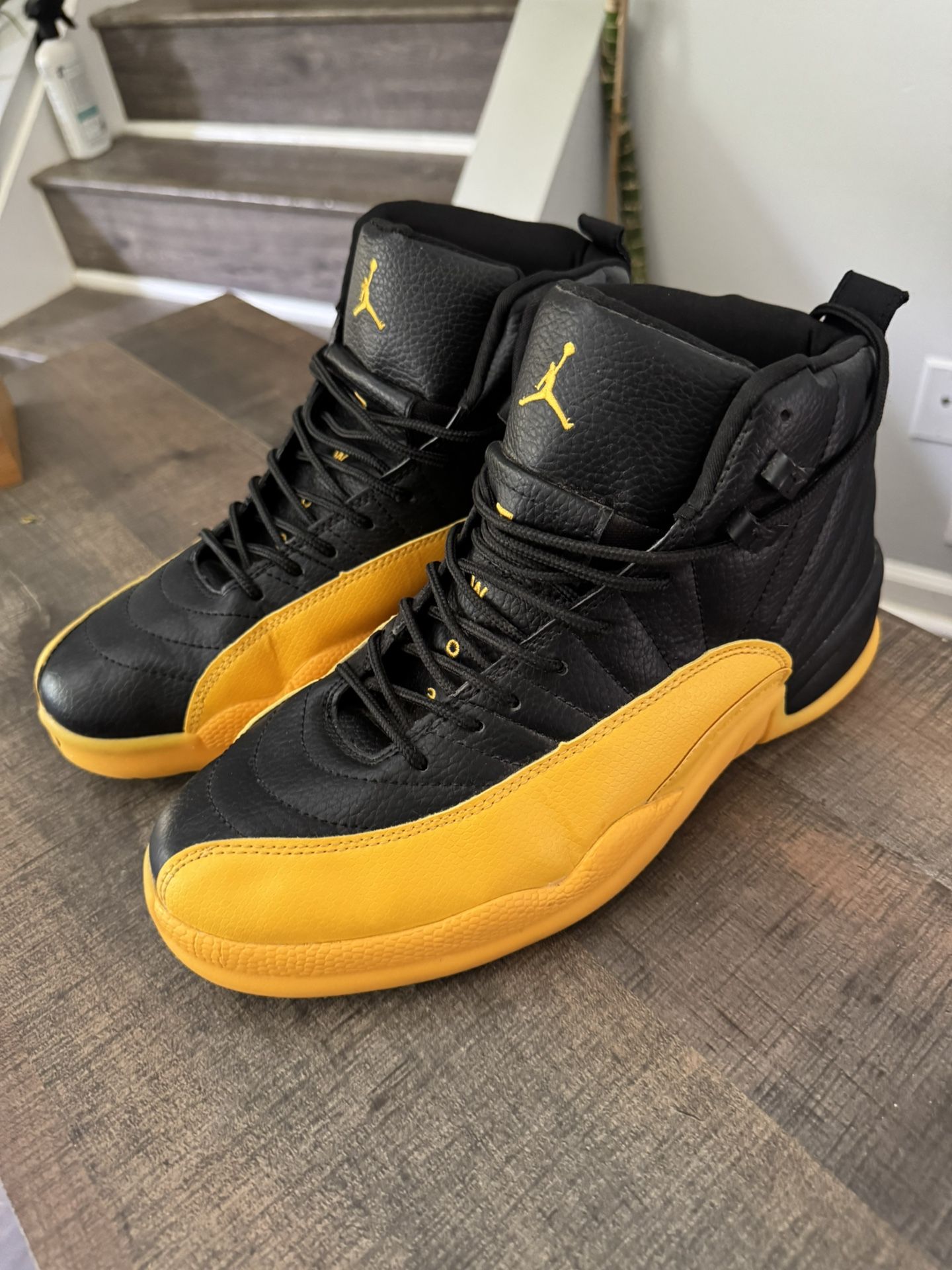 Nike Jordans Retro 12