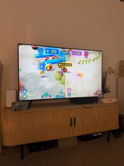 Bamboo Entertainment System