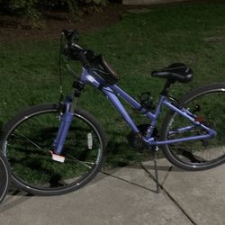Schwinn Women’s Trailway