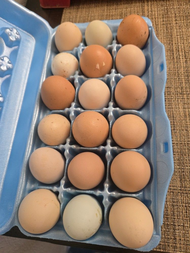 Fresh Farm Eggs