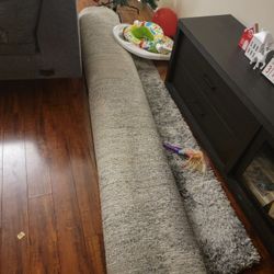 Large Rug 8' x 9'