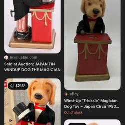 Magician Toy Dog