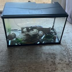 Fish Tank And Accessories 