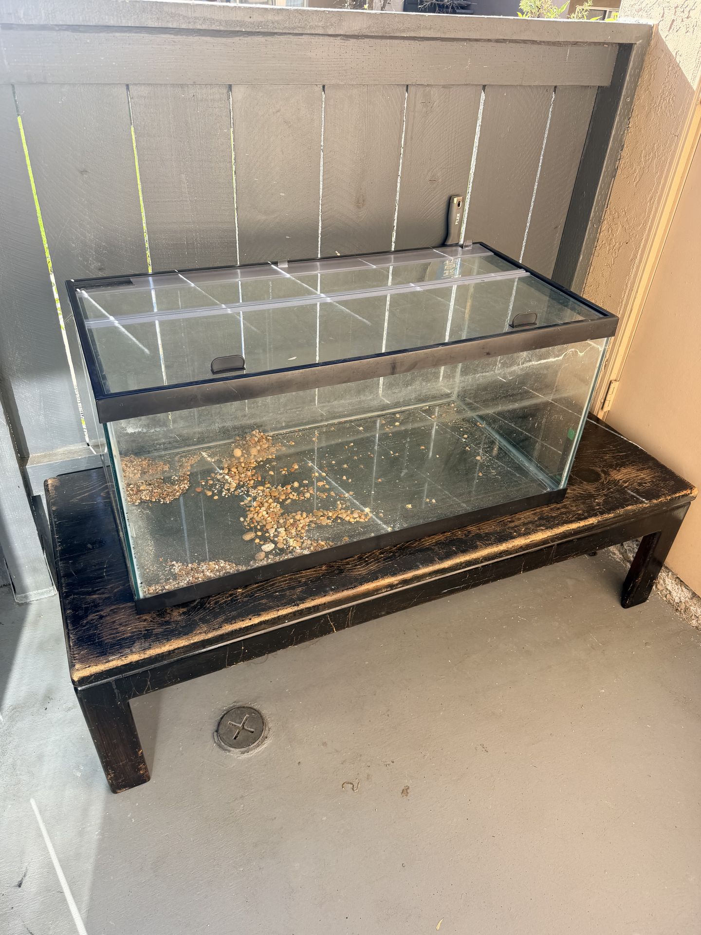 50 Gal Fish Tank/Terrarium & table