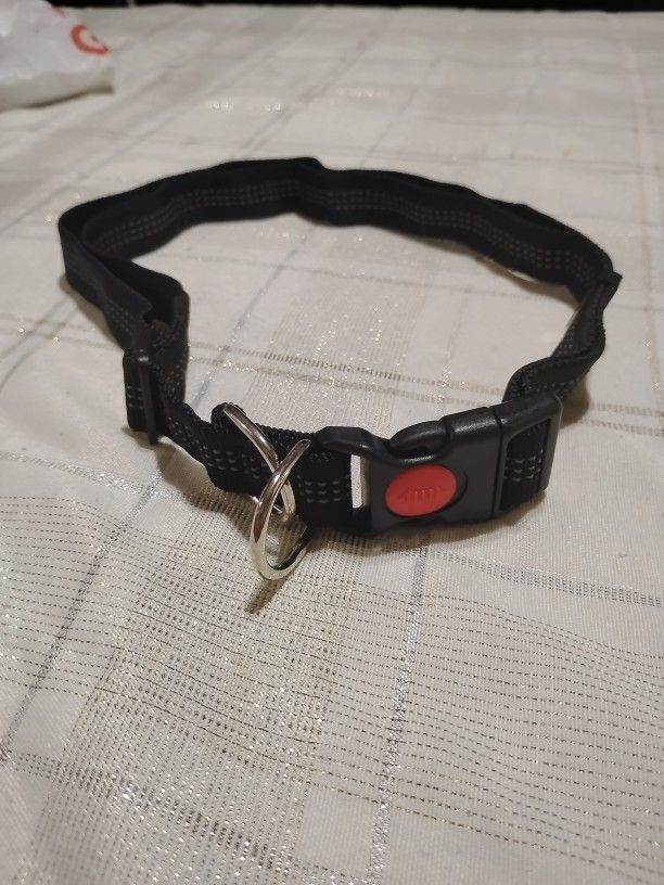 Dog Collar 