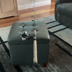 8 ft. Ande Tournament Inshore Spinning Rod, and New Shakespeare Reel 