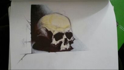 Drawing of a skull