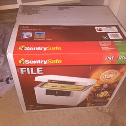 Sentry Safe Fire Safe File