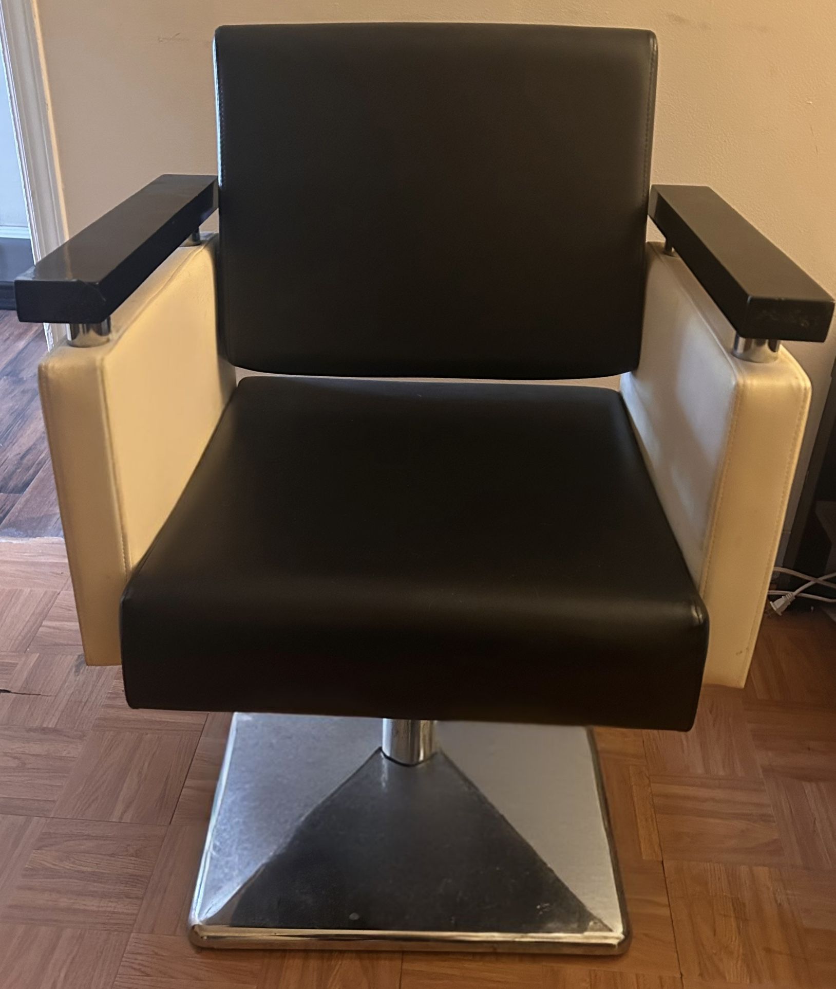 Professional Salon Chair