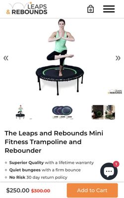 Rebounder Trampoline/ Great Exercise
