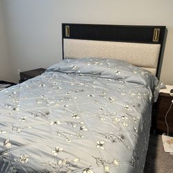 Queen  Bed With Built In Lamps