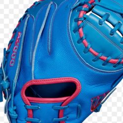 Catcher Glove Break In ( Five  Day ) 