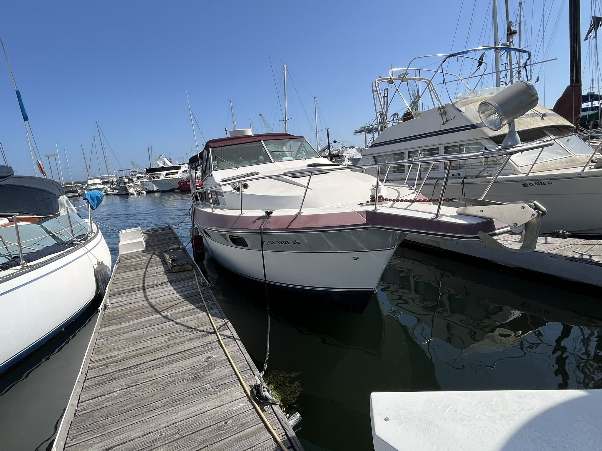 1986 Elegante Yacht / Boat