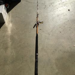  Diawa Fishing Pole