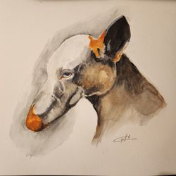 Watercolor Painting Dog Portrait  