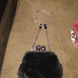 Paris Hilton Purse 