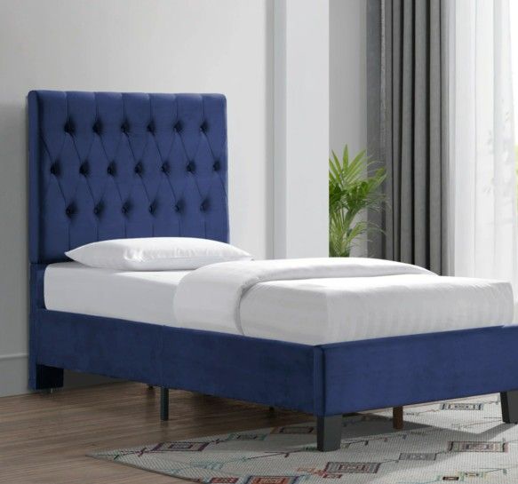 Kayden tufted Upholstered Low Profile Twin Bed