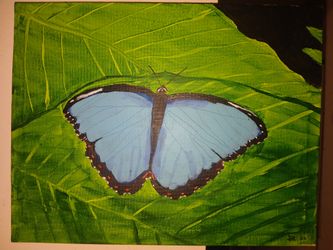 Hand Painted Butterfly Art