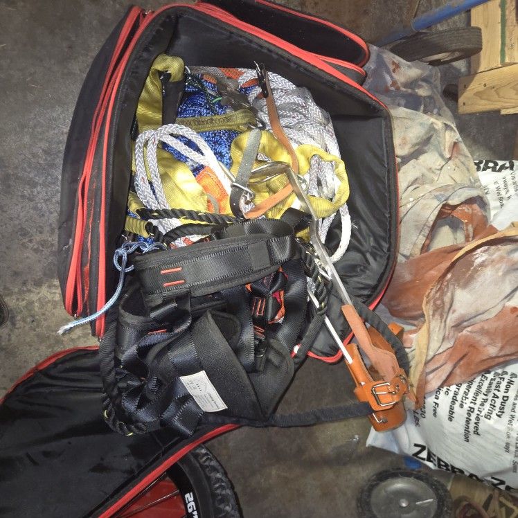 Tree Climbing Gewr (New)