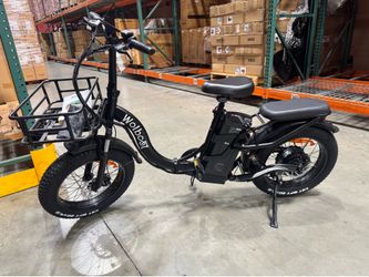 Brand electric bicycle promotion