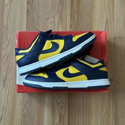 Nike Dunk Michigan 