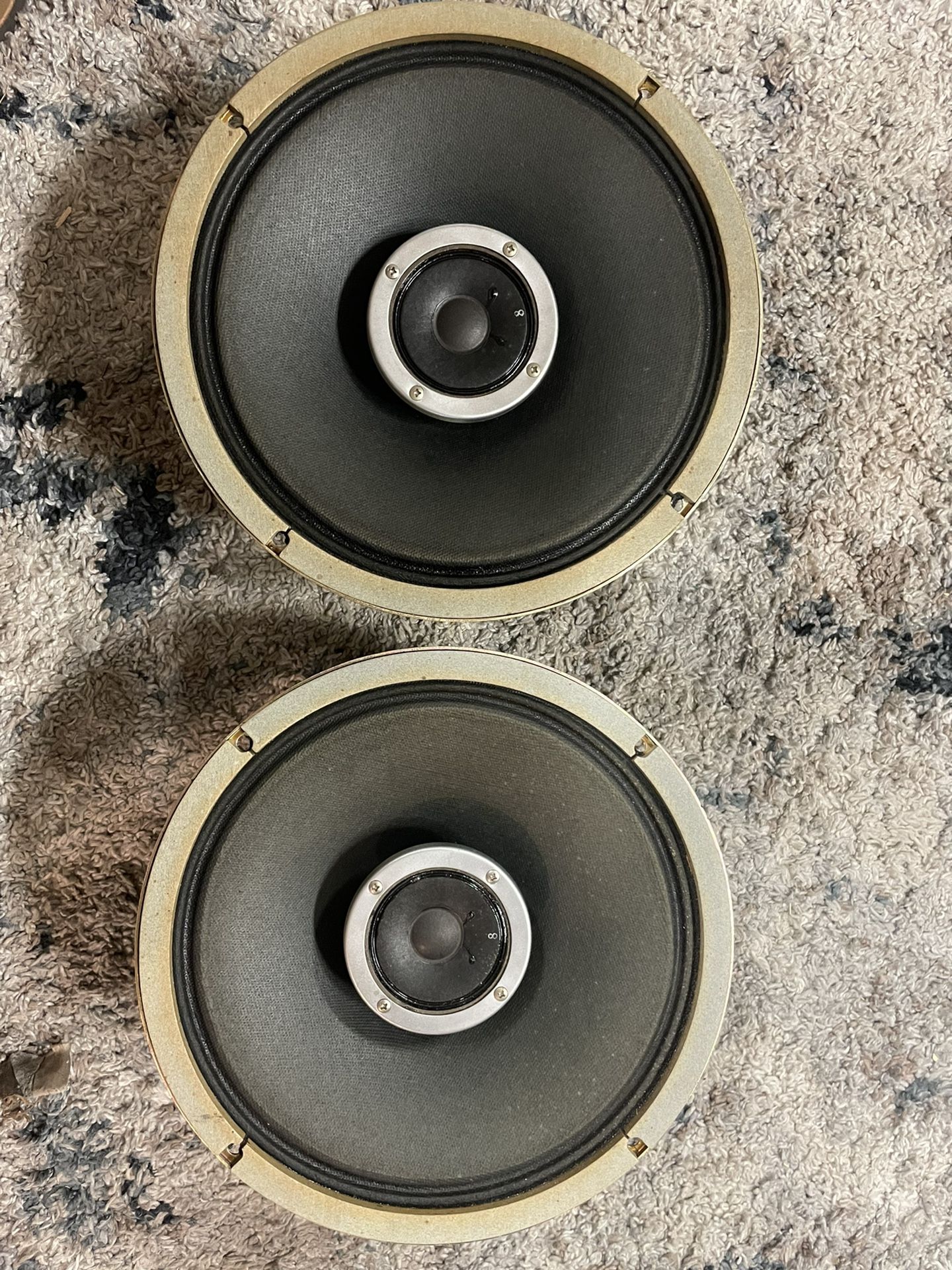 10” Coaxial Speakers 15 Watts