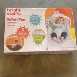 Baby Bouncer 