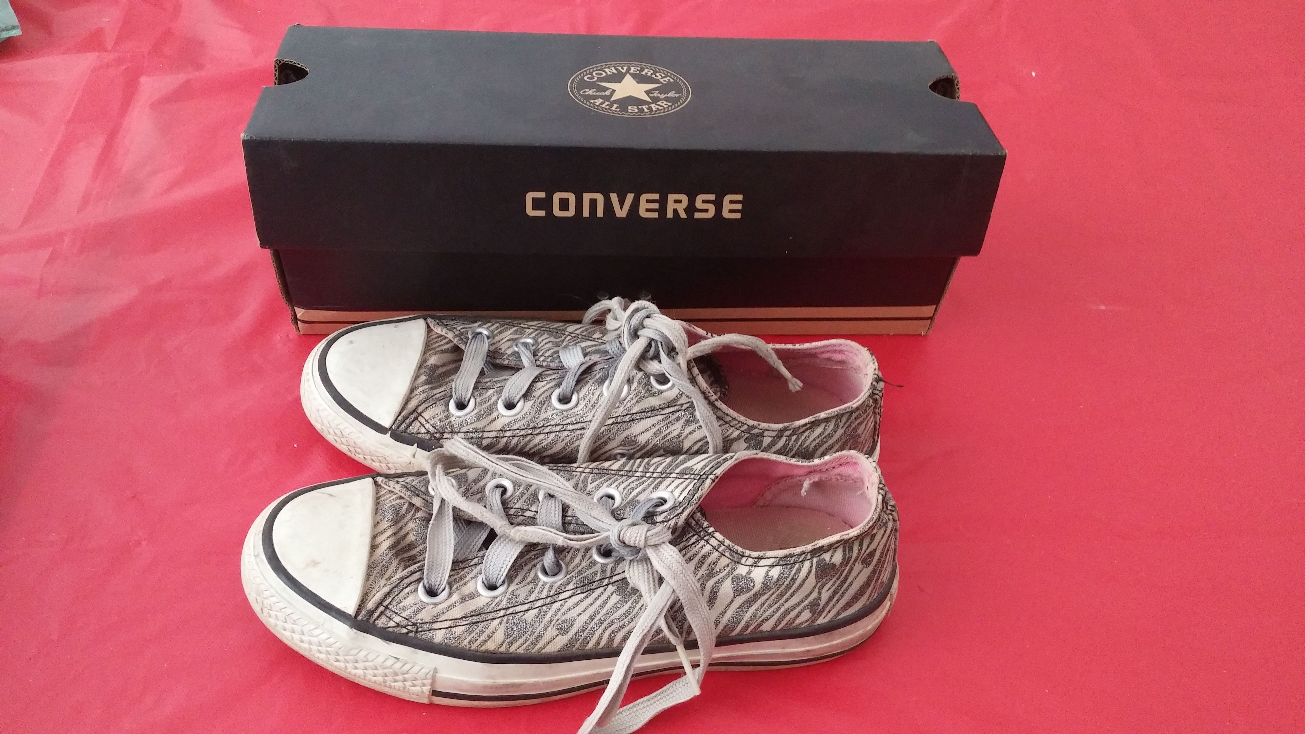 Converse Canvas Shoes