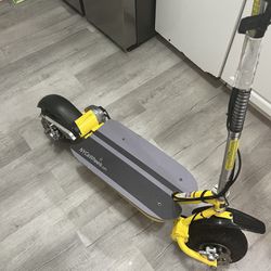 Electric Scooters 