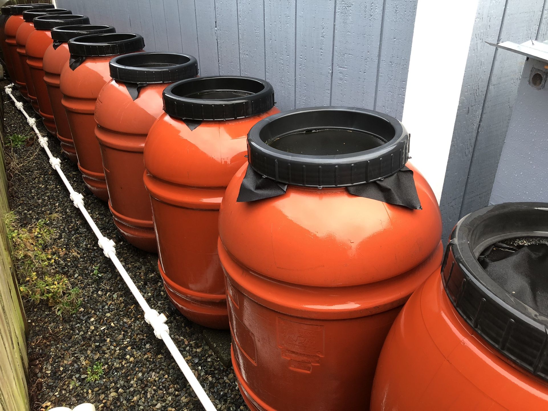 Rain Barrels - Have To Go Today!!