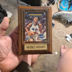 Anfernee Hardway 423