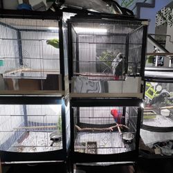 Bird Cage For Large Birds 