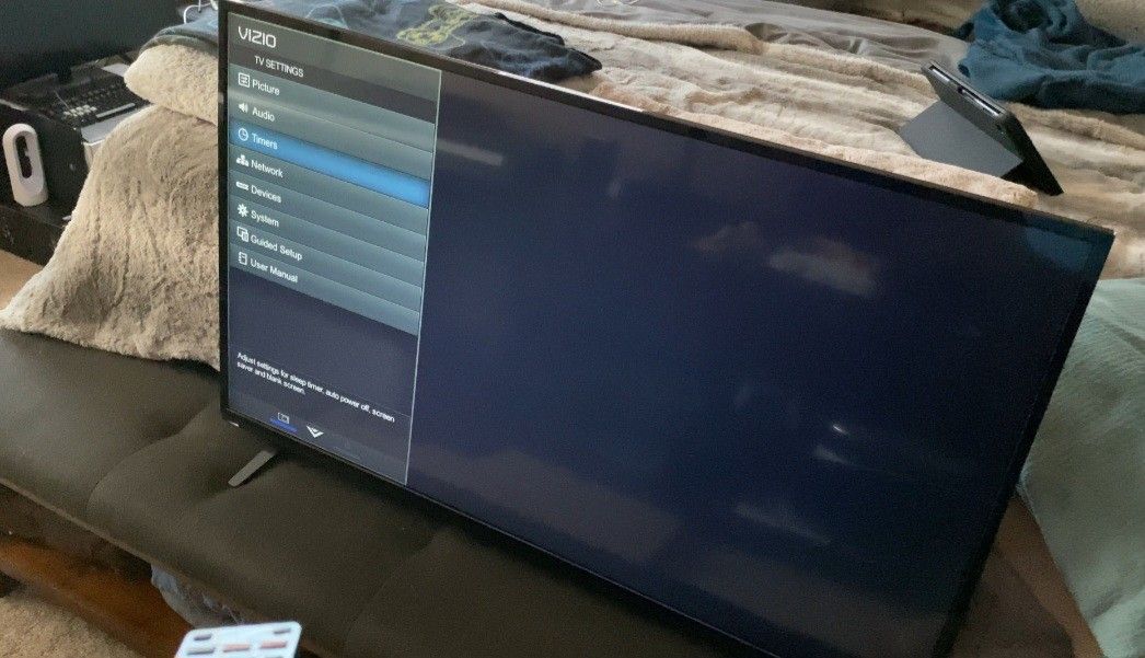 Vizio 42" (Smart TV)