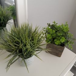 FAKE PLANT, EACH FOR $5
