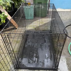 XL Dog Crate 