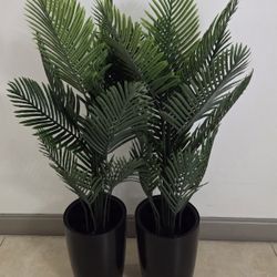 PAIR of 52" Faux Areca Palms in 16" Black Resin Planters (2 for $110) @ Lasting Creations