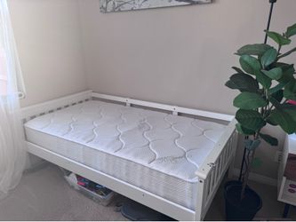 Twin size mattress no pets no pee