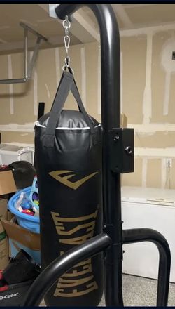 Everlast Punching Bag