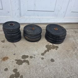 Weights 65 lbs total
