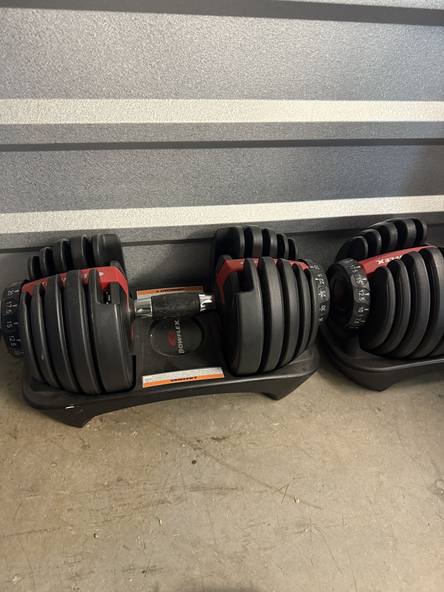 Bowflex Adjustable Dumbbell Weights