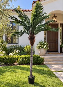 88” Tall Artificial Palm Tree – Full, Lush Foliage – $65