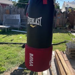 Everlast MMA And Boxing Bag 