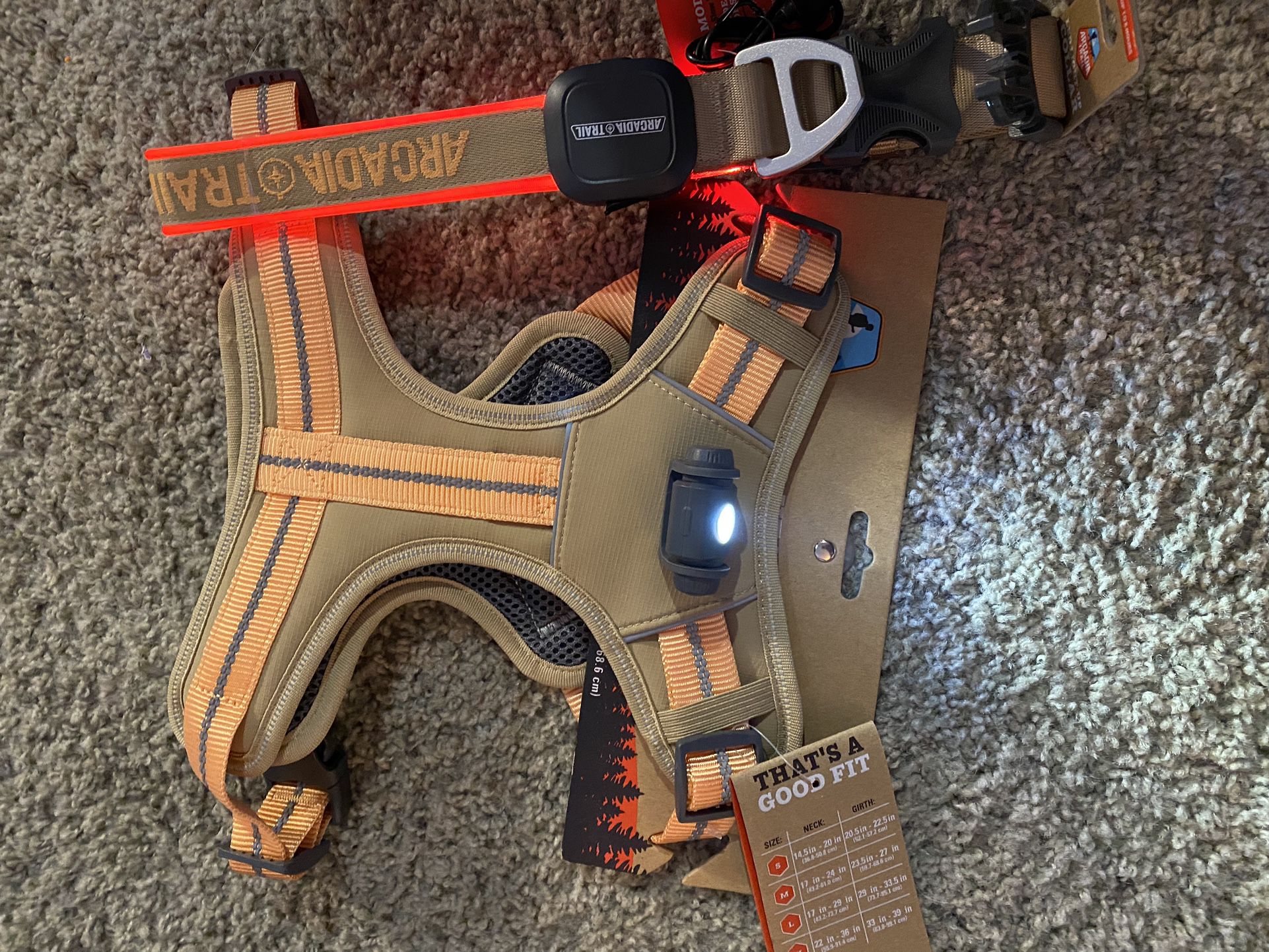 LED harness And Collar 