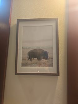 Target Bison Frame Like New