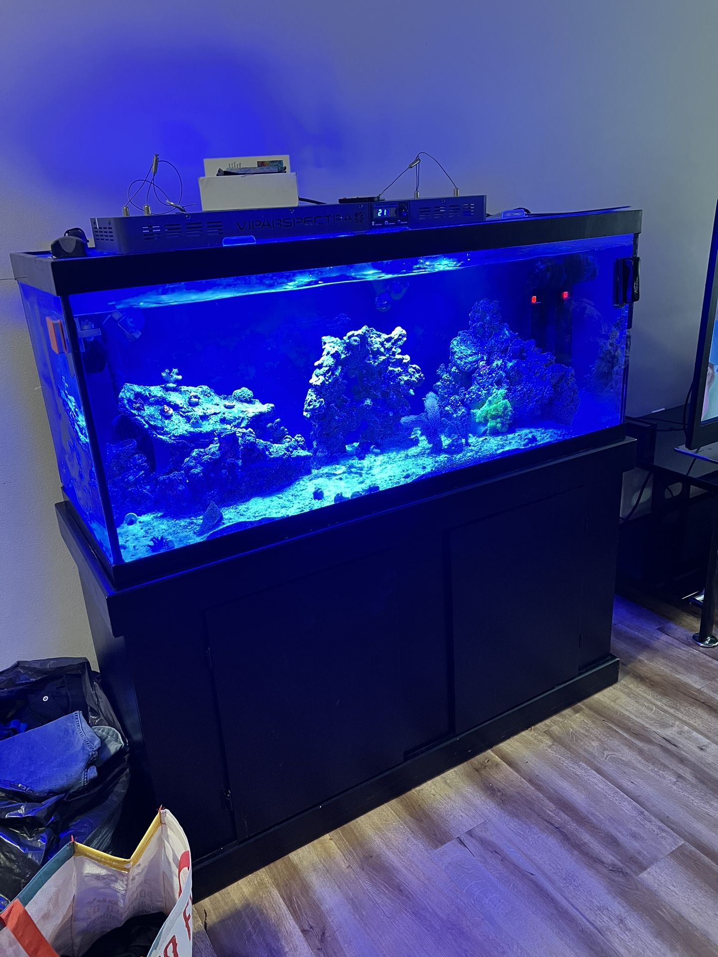 75 Gallon Aquarium / Saltwater Tank
