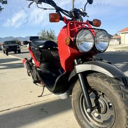 2009 Honda Ruckus