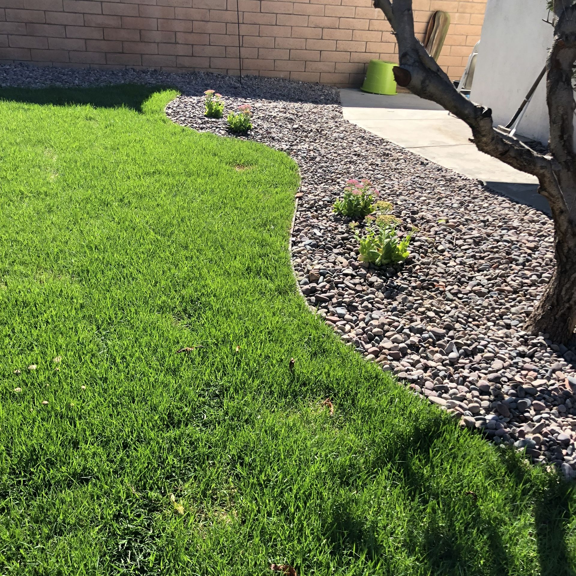Landscaping