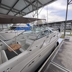 Searay Sundancer  SE 270