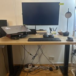 Electronic Standing Desk